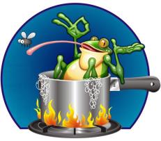 Welcome: The Boiling Frog Story
